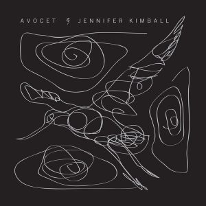 Avocet album cover